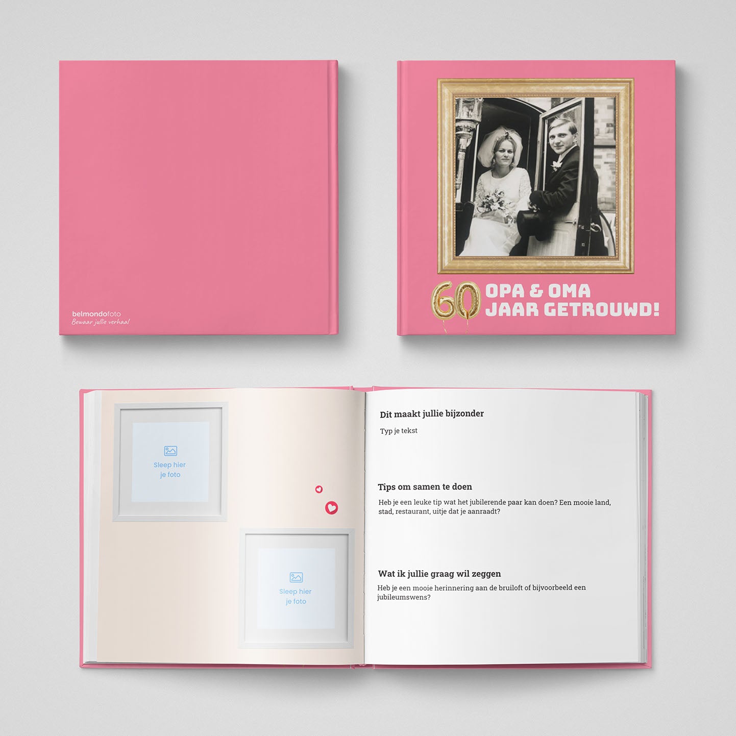Het Jubileumboek
