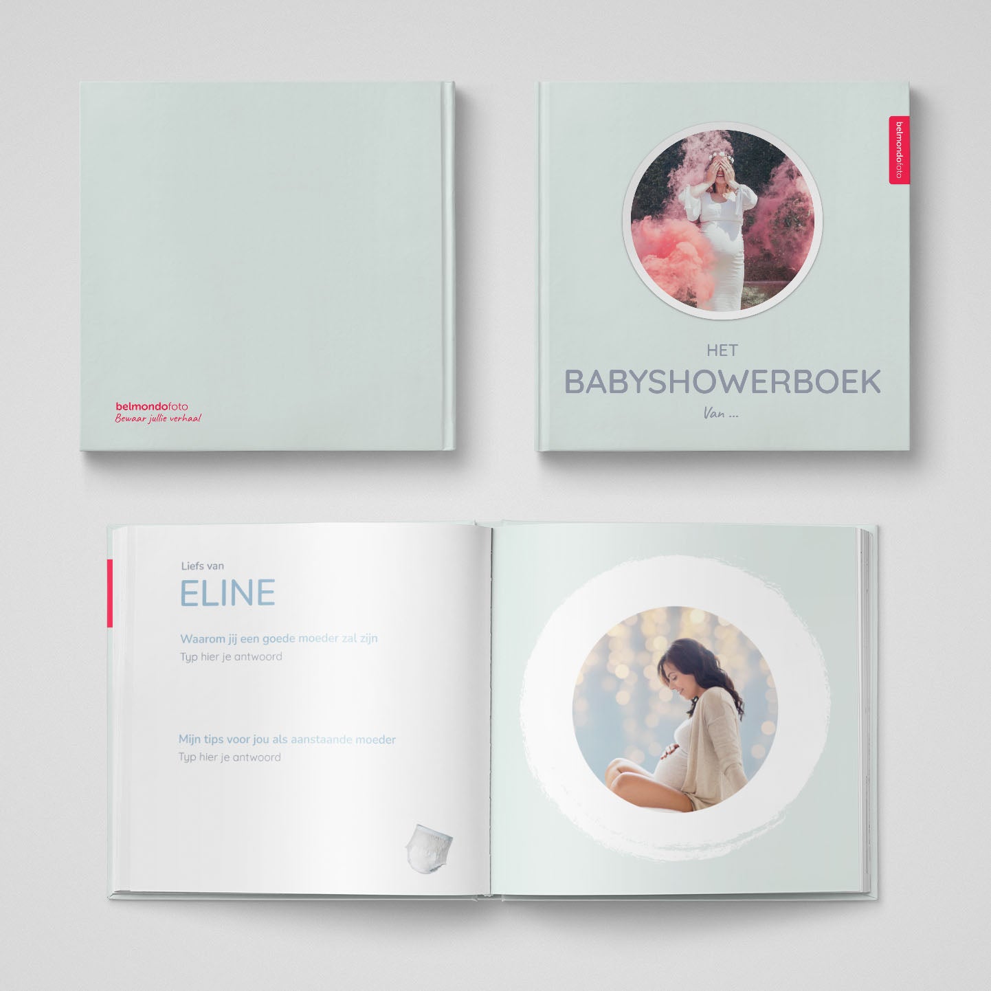 Het Babyshowerboek