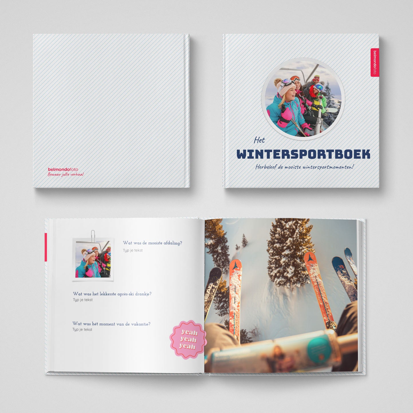 Het Wintersportboek