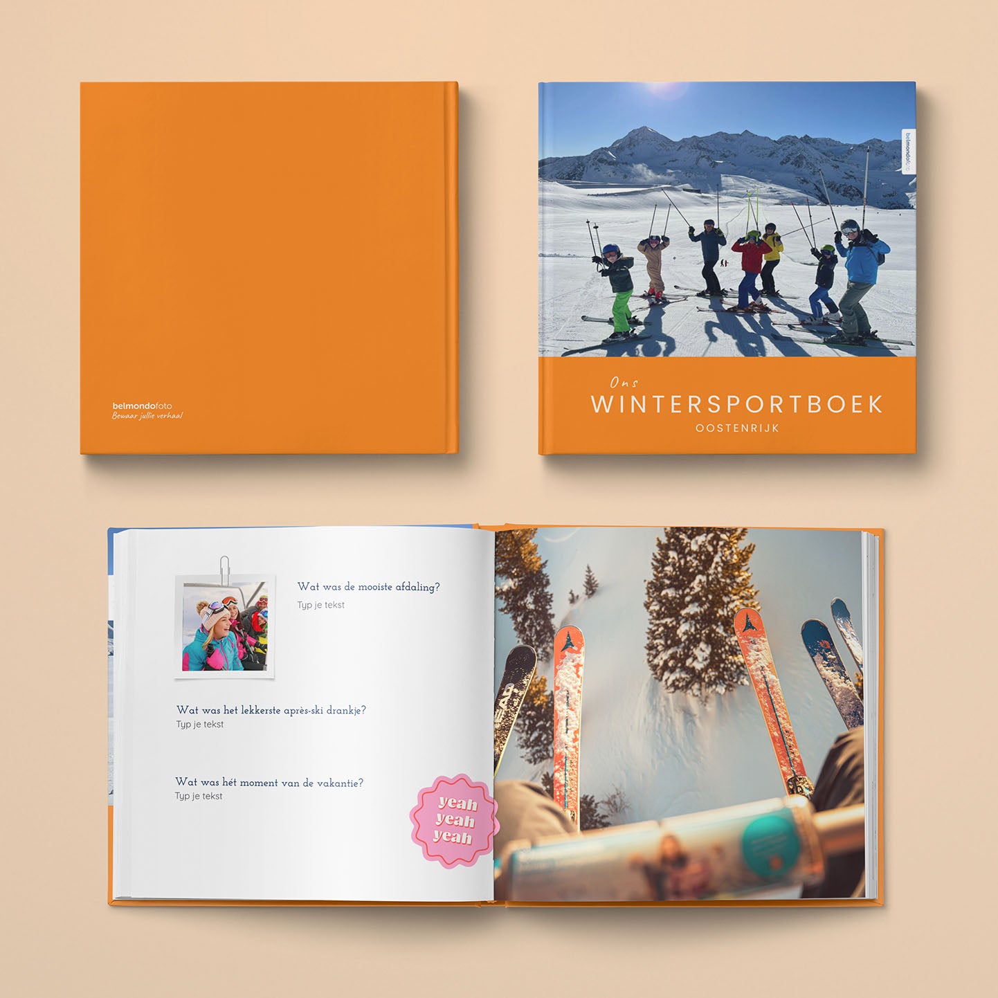 Wintersportboek