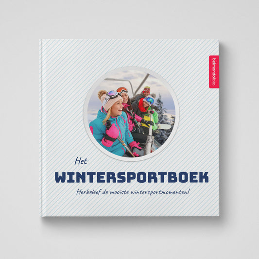 Het Wintersportboek